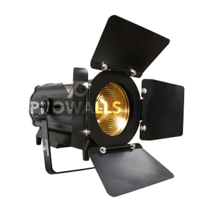 LED FD Fresnel